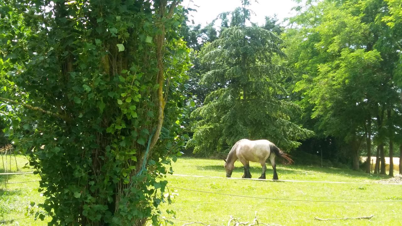 Manoir De Vilaines Varennes  Buitenkant foto